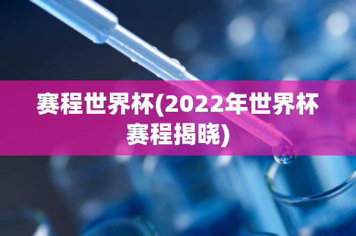 赛程世界杯(2022年世界杯赛程揭晓)