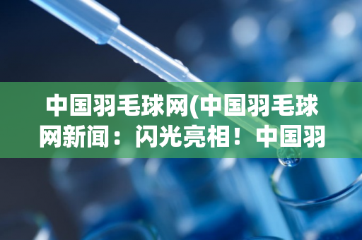 中国羽毛球网(中国羽毛球网新闻：闪光亮相！中国羽毛球运动崛起势如破竹)