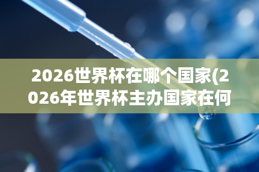 2026世界杯在哪个国家(2026年世界杯主办国家在何处？)